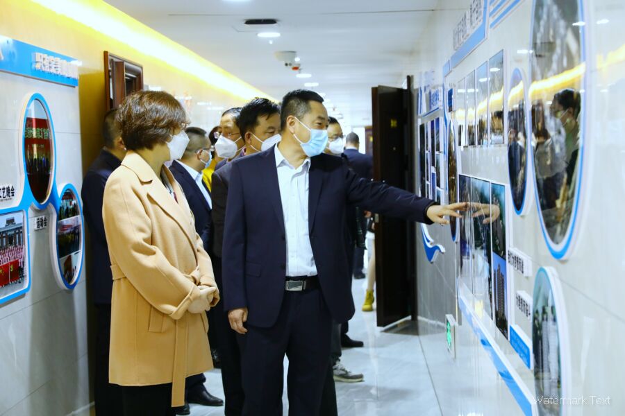 學習貫徹二十大，信合設計在行動