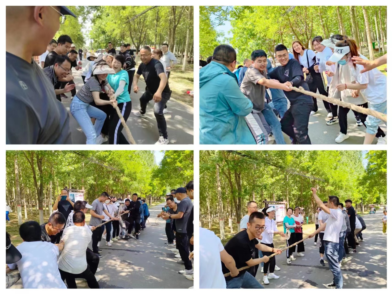 “學習二十大、奮進新征程”三抓三促在行動 徒步活動暨2023年6月主題黨日活動